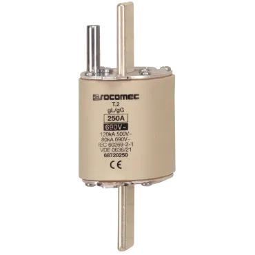 Smeltveiligheden type gG DIN - Bescherming, overdracht en distributie van stroom - PRODUCT_MAIN_PICTURE2_EXT